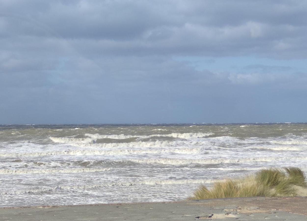 Plage Et Jardin A Malo Les Bains Dunkirk Exterior foto